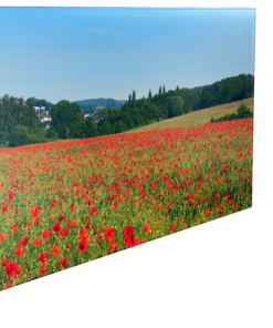 Premium Glas-Infrarotheizung – Ultraflach, effizient & umweltfreundlich – Bild 10